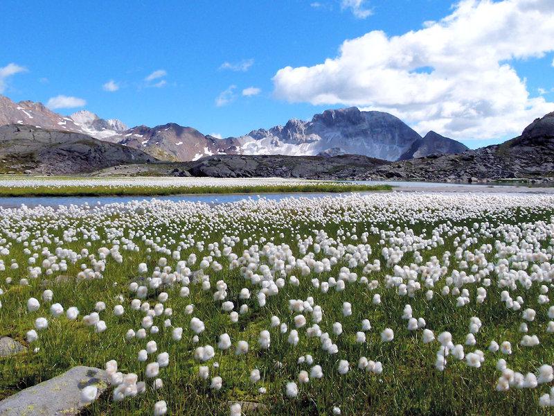 19B0279CF69D8C820530DA5D860F4976