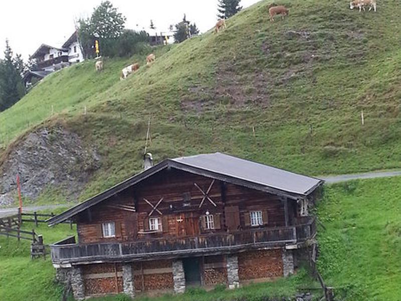 32A73A72CDF2D49BECEC7F9B996F8BB6