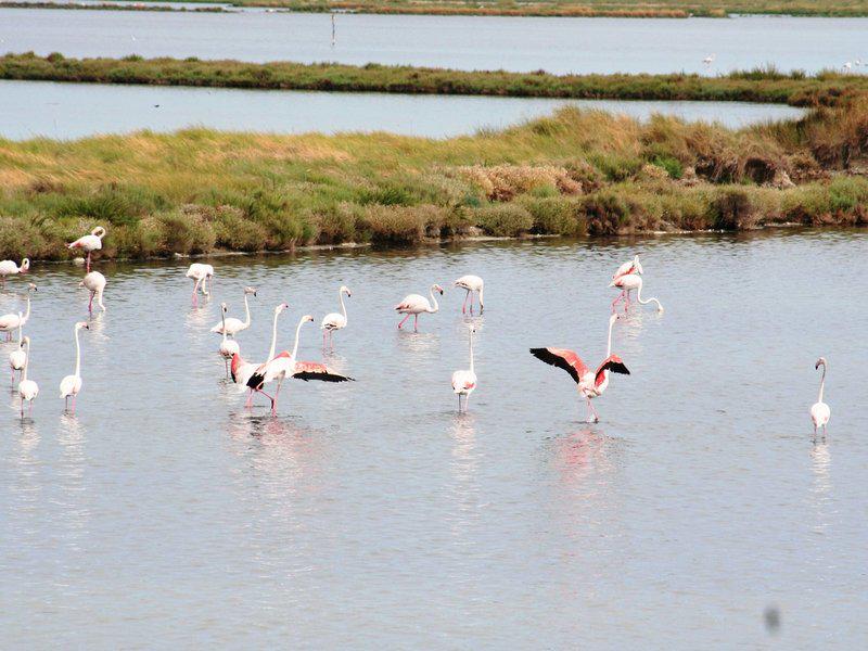 E7A0A82F9D0F158D1D039253F61550FC