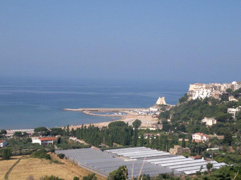 056B4ABE9D32FCD2B747796D02744EDE