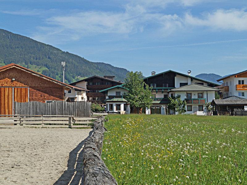 7A986781B065FAE441E35F0DF392E74B