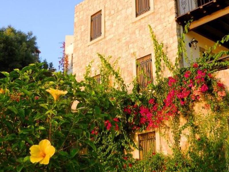 B62F57EF43923B076A7A0E9310842C84