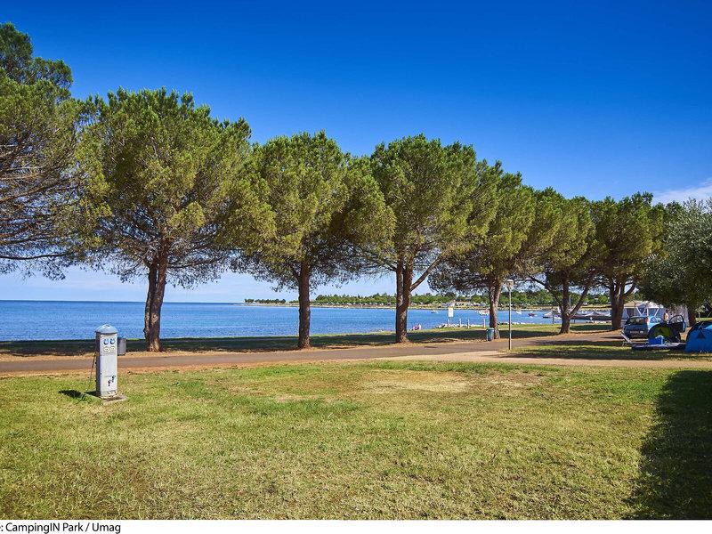 A04C3D03C6F9F606C5EA198D4E37AA92