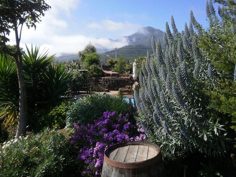 46B853ECBCF39504D3156842B3F210B4