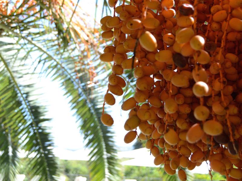 EEE8A52321C968BD7DA0272FFED1E0E1