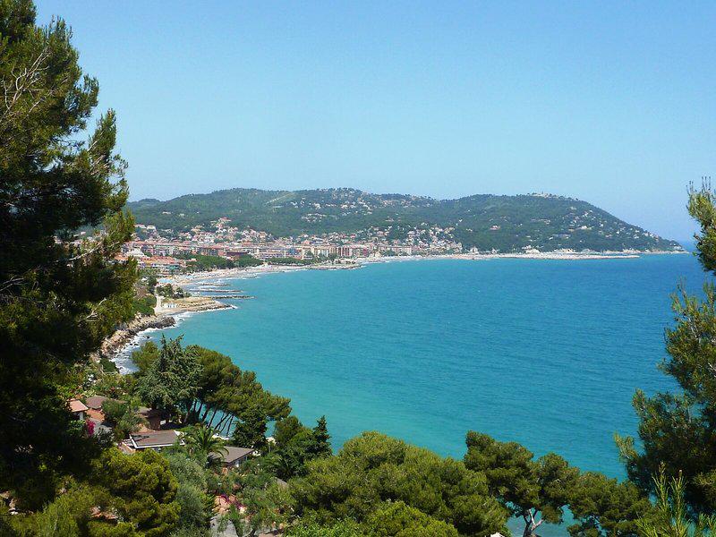 CA06FCE35F2C1DE88A85783533229C87