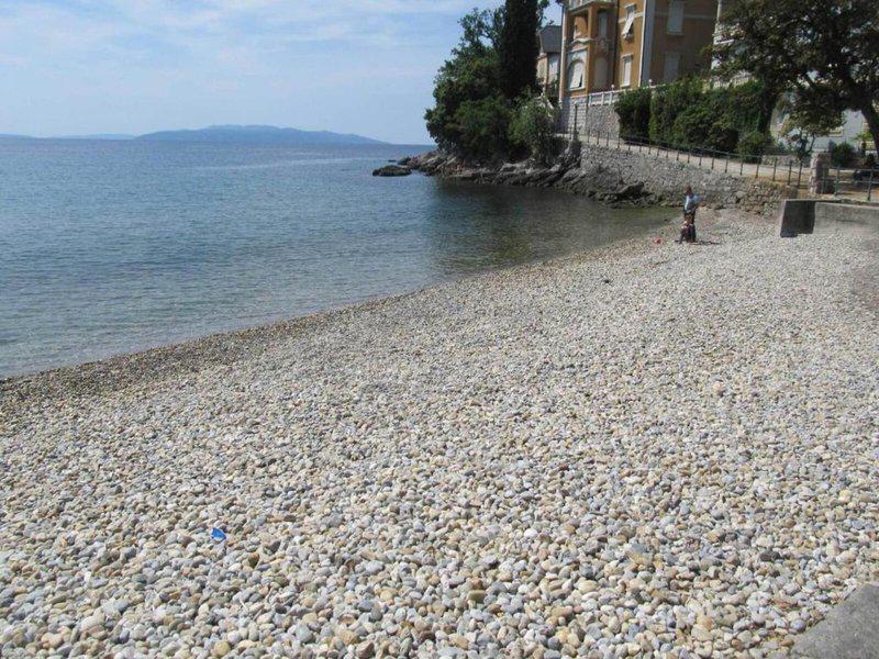 8231F029E3ED75C6D88FC18FB0D9C3E2