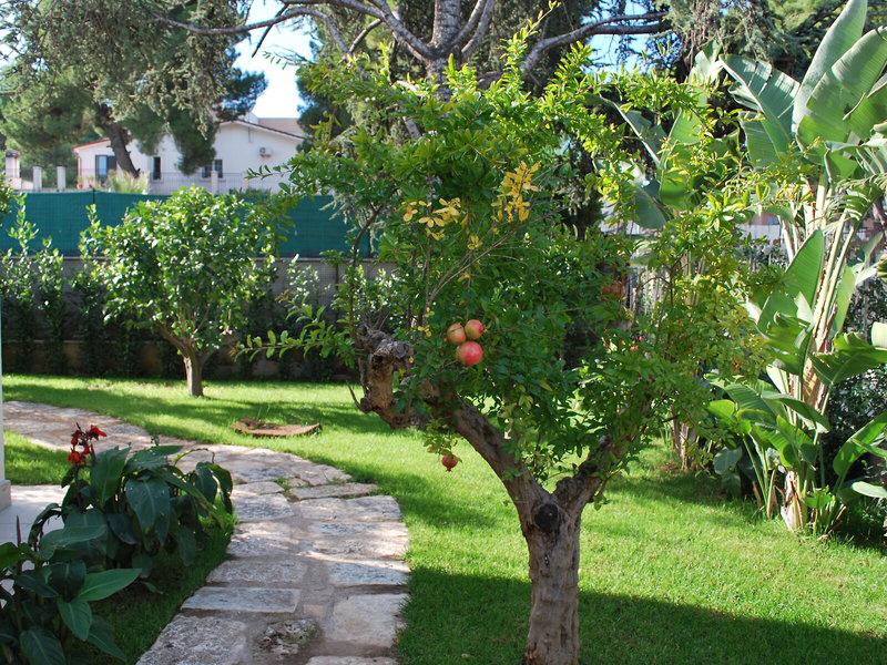 EB9EF6C37C99224568362D2D87BC9CD0