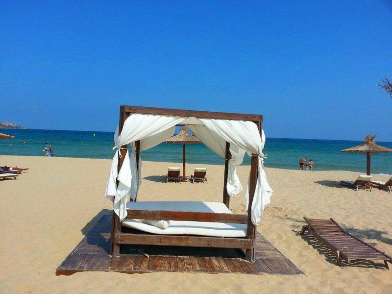 93B36D1DE4BF9AF7ADD564DABE4F7719