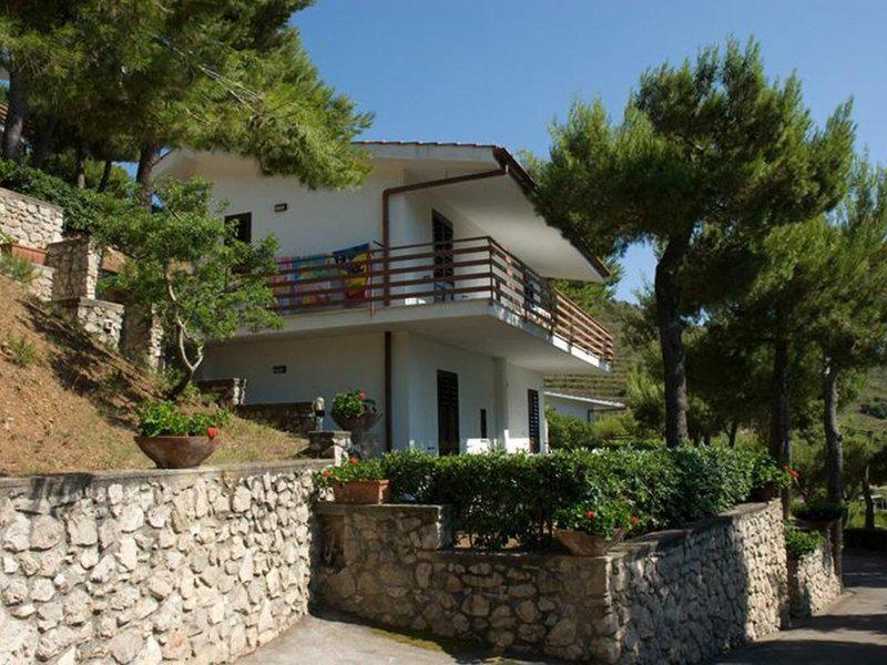 36F16EC95A01650D508958C8202CED1D