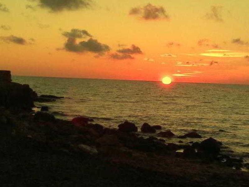 F674C5C87DA4CC5892E4B7641BE57B0A