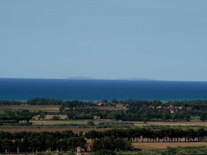 339E50B52C2BB538CE48BCB1F3F94841