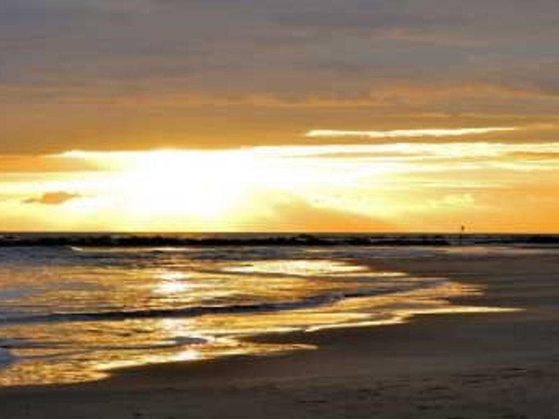 73F48338A6D619D2D0A9DB1B724D06EC