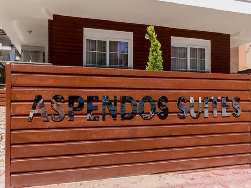 ECD2B07842A28B2C3606518A3217E534