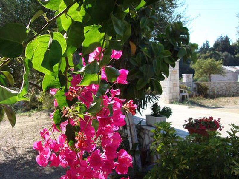 75EFBA931F7B07E99F39645AAF364FDE