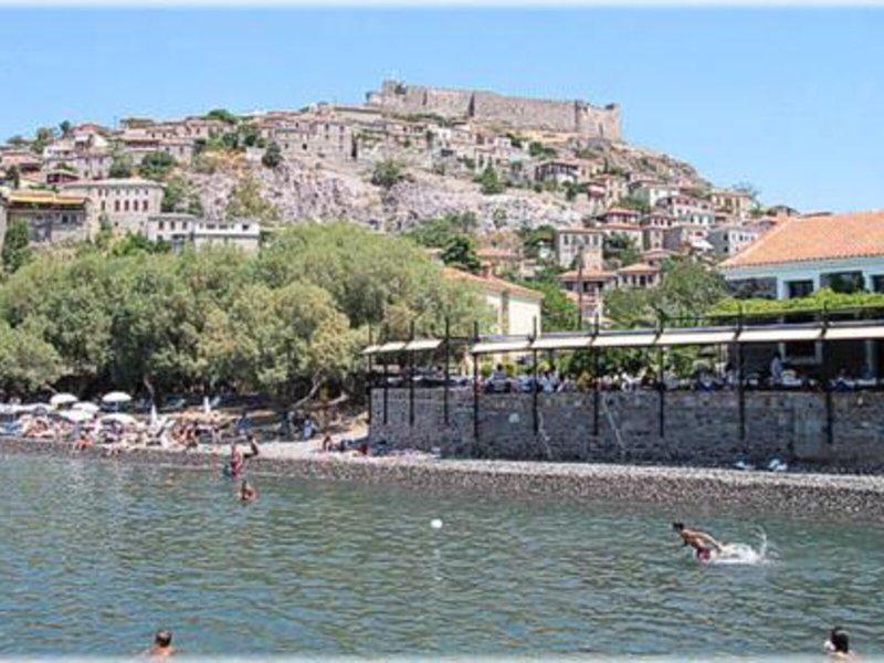 978CE8F0BF763FF224EA7621324341D5