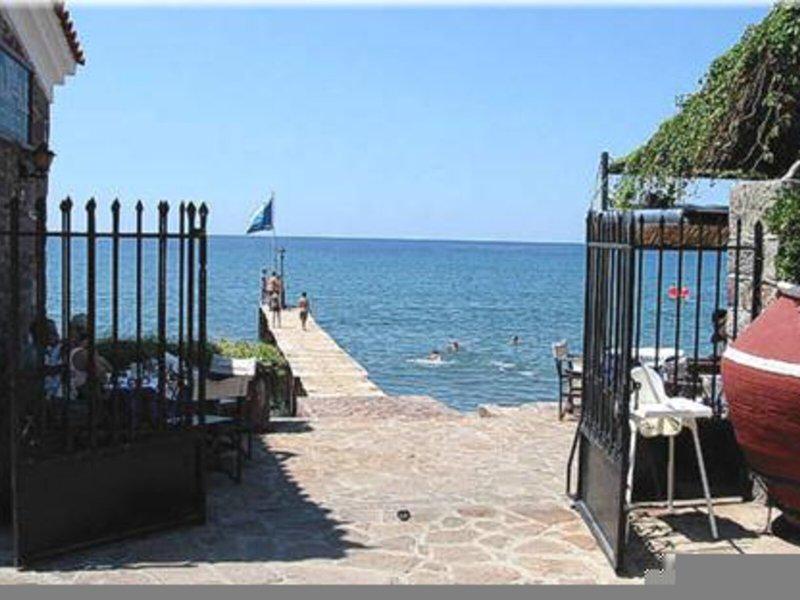 B734C4A7F8A332EEE2FA544473216CE8