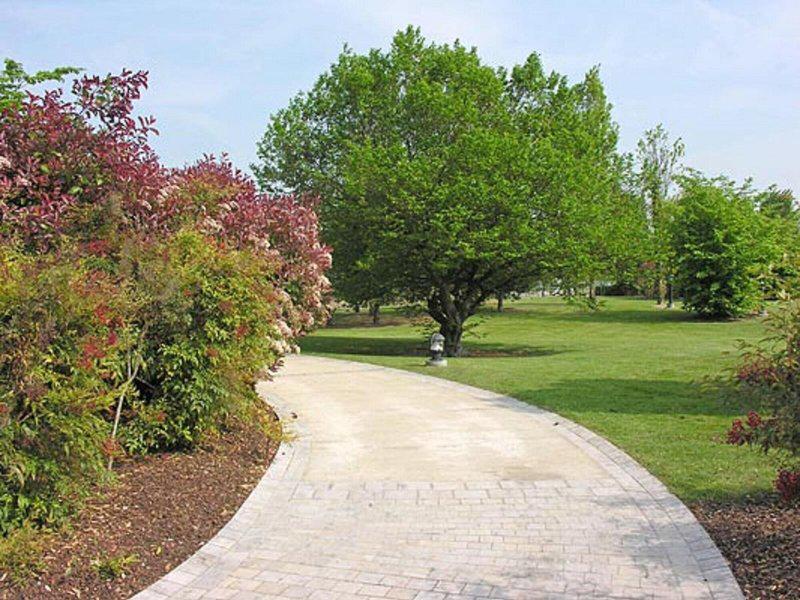 62C34199B00C3AB1C965DF161688E67A