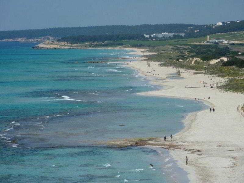 11245DF18FEC6300D86D0E4440C465D3