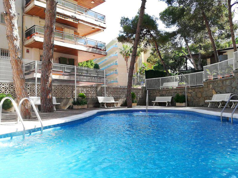 129145B3AA1CF1FF652A9B686DABBC2F