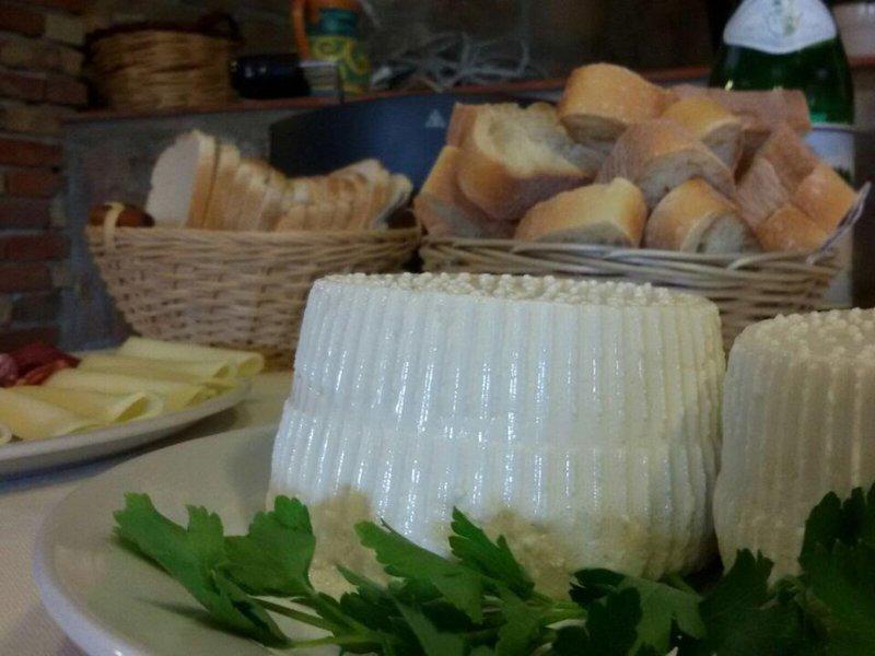 FF9C3DD71C026F317A9C2703884322CC