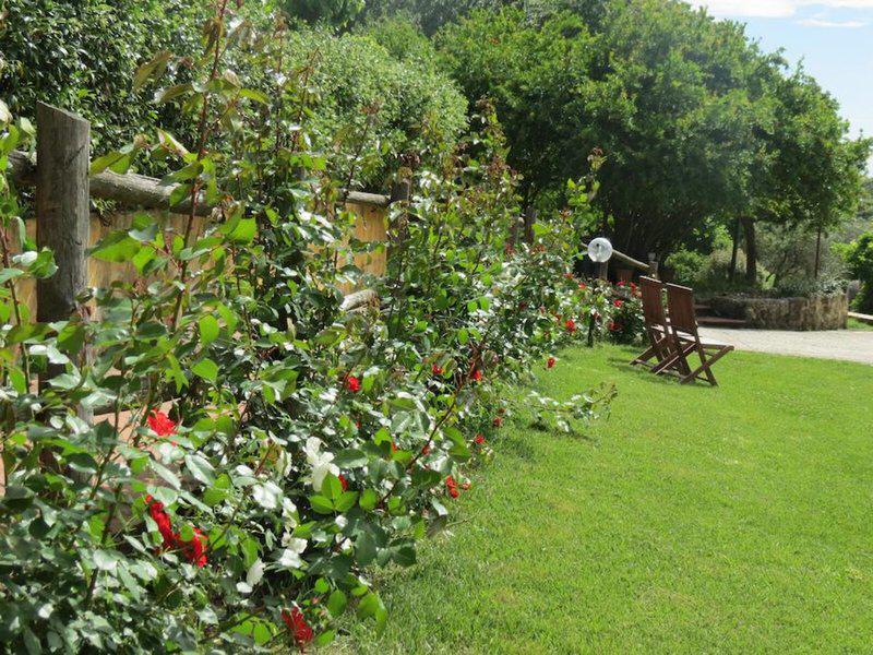 A2EDF609134D739DCF7B7C7253886472