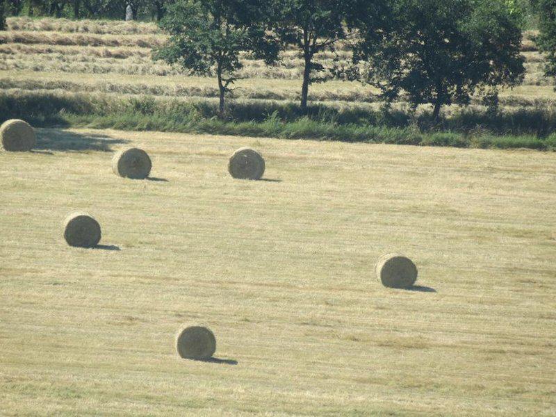 3B50CA1E7DE23E91502F0517649BFAA8