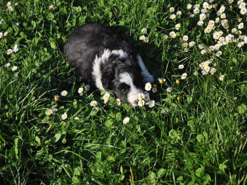 6F60CF2D010F542BEF0D4AF134672B53