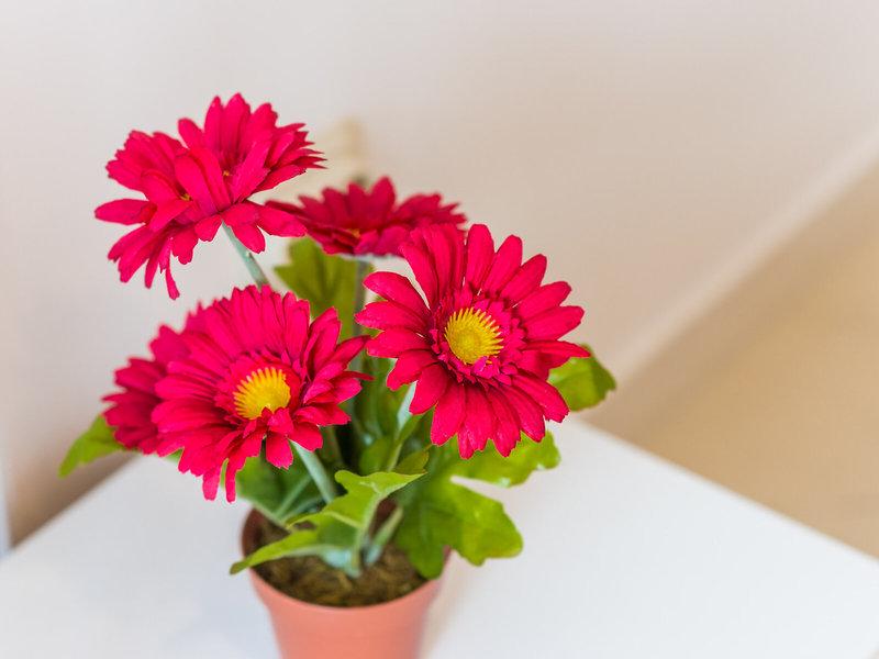 722BC7DA6DD6D0A40727145EEF24FF6D