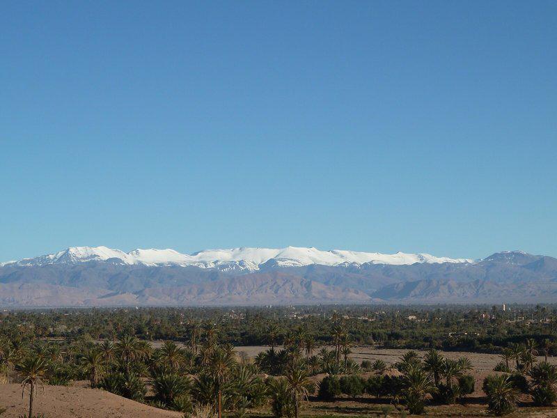 F01B4BDEA6EBC5A801CE306482A07B3D