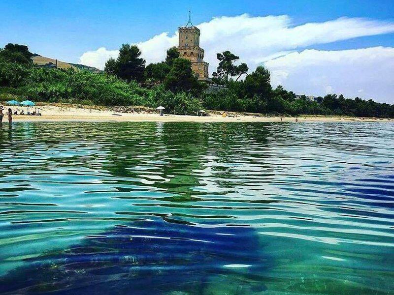 0026985C0D560648D9D5A21838DD24E4