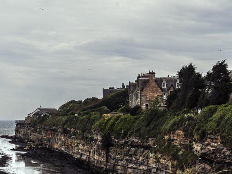 00F141818155C4BC658CF83B3E499995