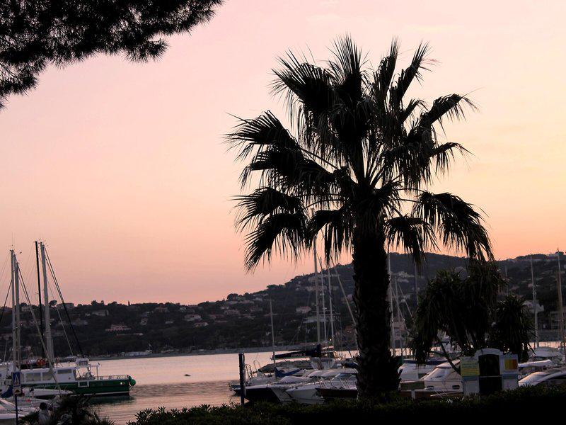 E4C4C2530619DBA98599FCADD18C4283