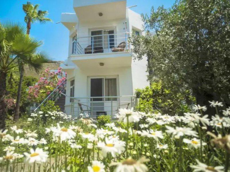 BDA9419877CCA865314A42CF52232DB3