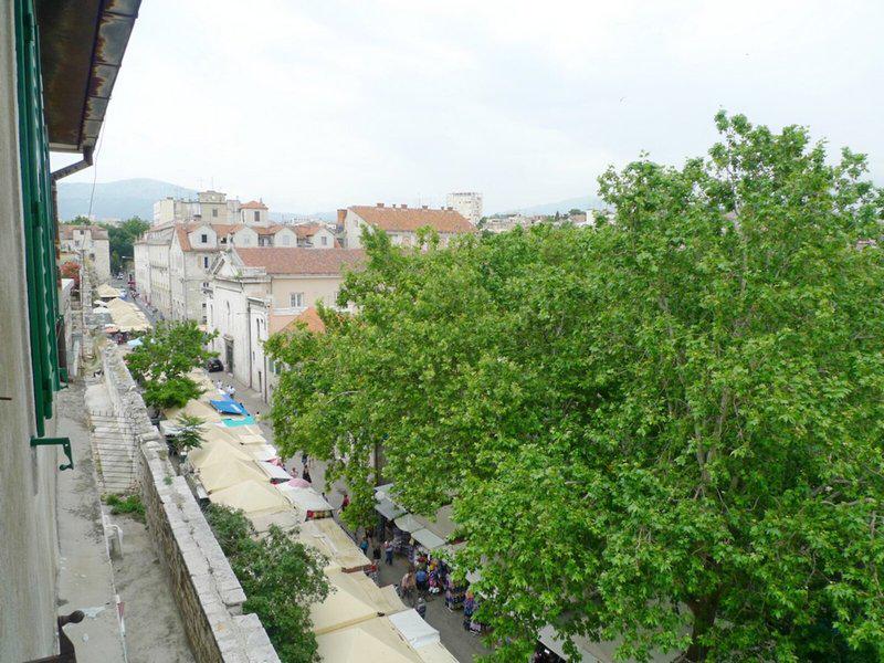 515E3286F561AAE31C5411F42C4C3928