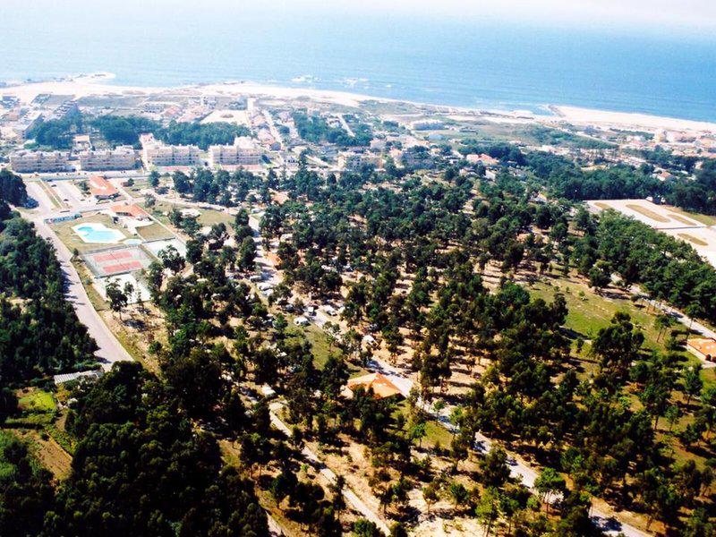 FE00AEBCF0A21B4A26760972B6C13A94