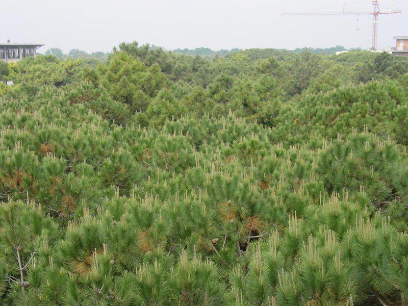 3D58A3E7792F149C4941DCA1F7D2909A