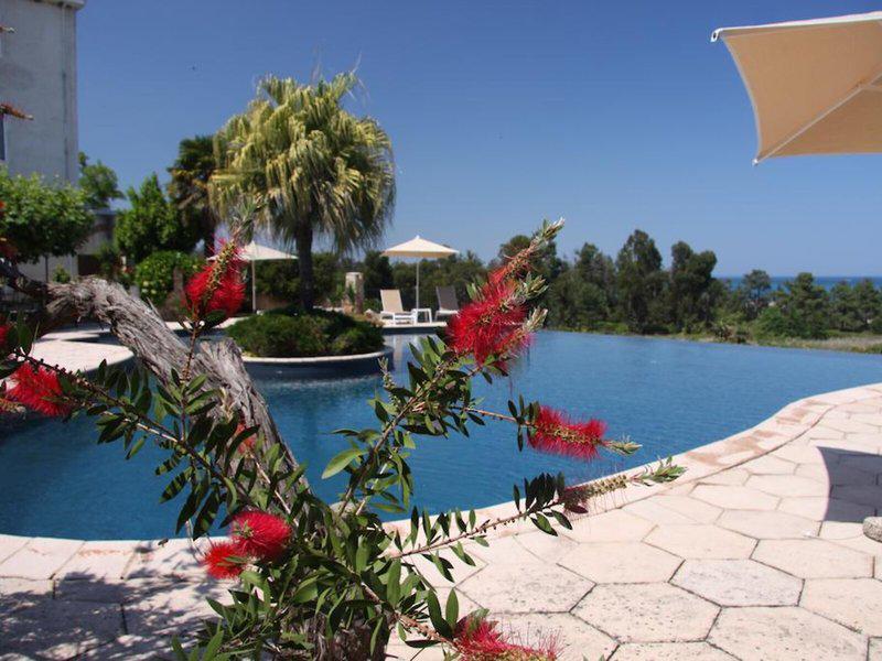 8E50A1E504D0EE403B85DCCA97857276