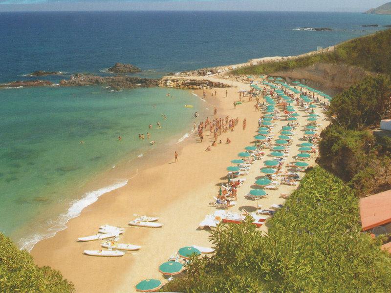 26E2EA0A93B5E2E61594ECB44A3947D4