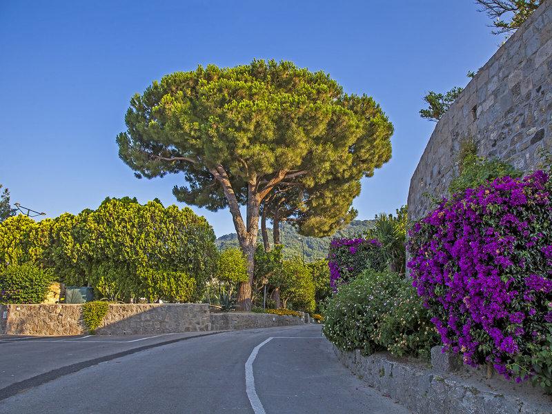 D3030BD721CDFBBD79305A6AC7FD28D7