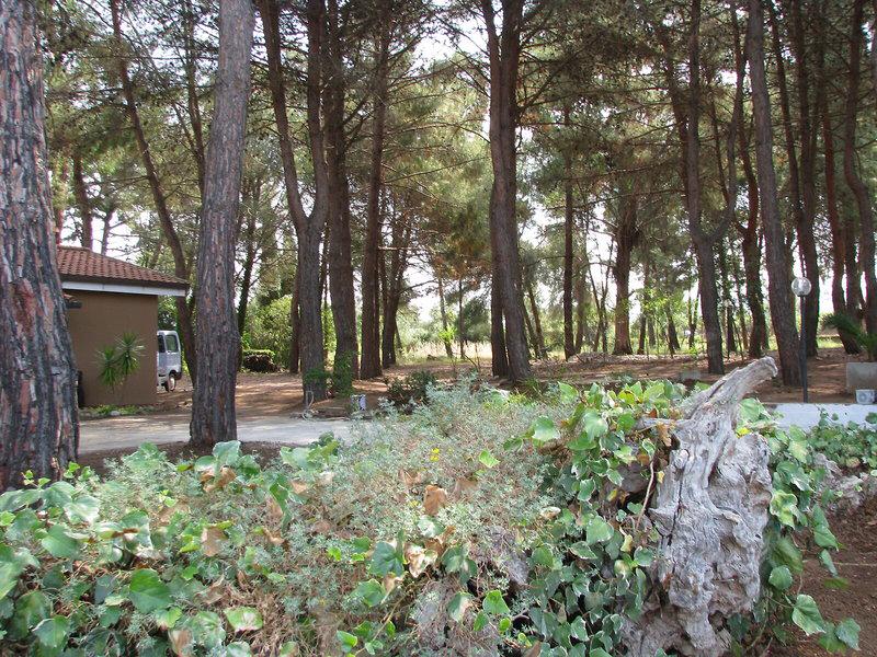 C7DE2A88E1DEF59C7B44CCC897F62730