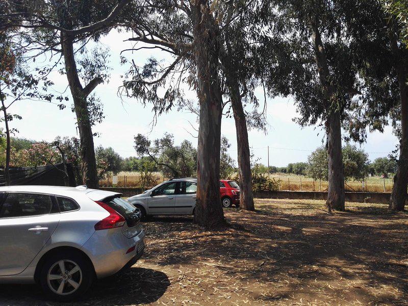 CA777460CEAA296D47DB469FFC9A192C