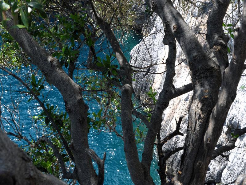 E2C18090E6DAE04D17A613537BFE7A73