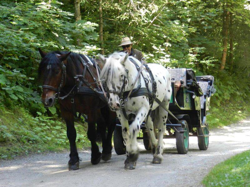 B4407D57405183029B3FF6C7A5116B81