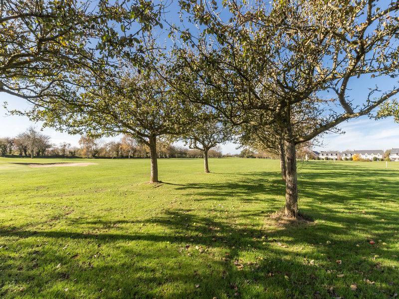 46B32D420965108890AC21CE797BF196