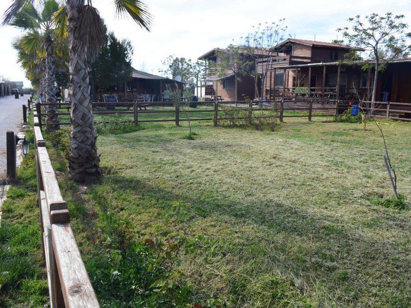 983EC6D74DE02E4AF862288B1981AAFF