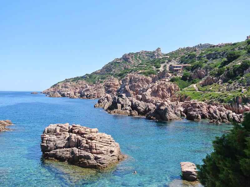 A8AF6D9DDA6995CA249846F5C3CB2F6D