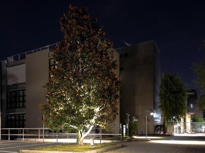 0E8EEB67279B75CE695FF0CC3C8A90ED