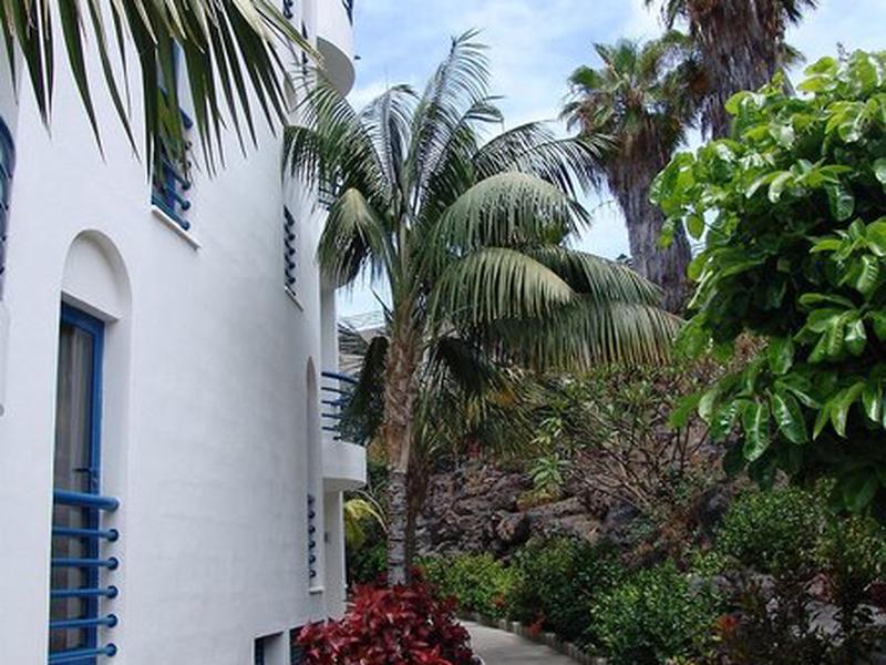 1E317DA5D8552A0B337572C276B39F5C