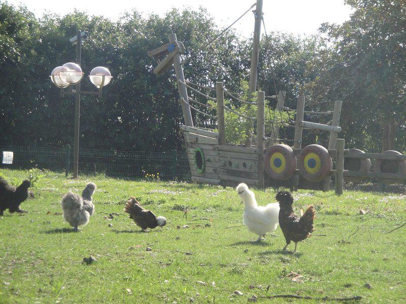 684536A1A068C66060F9B5931C7DE7FB